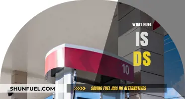 What Fuel Powers DS Vehicles: A Comprehensive Guide to Options