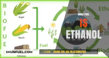 Ethanol Fuel Explained: Understanding Its Source, Uses, and Benefits