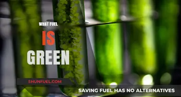 Exploring Eco-Friendly Fuels: What Makes a Fuel Truly Green?