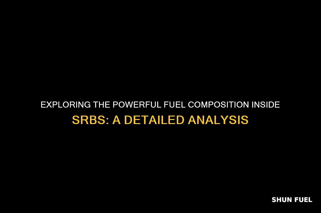 what fuel is inside srbs