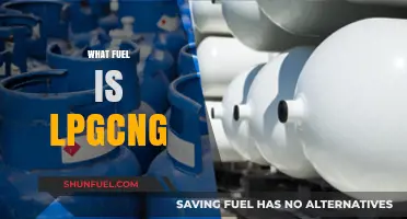 Understanding LPG and CNG: Clean, Efficient, and Eco-Friendly Fuel Options
