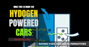 Hydrogen Cars: What Fuel is Best?