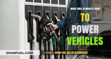 Most Common Vehicle Fuel: Gasoline Dominates Global Transportation Power