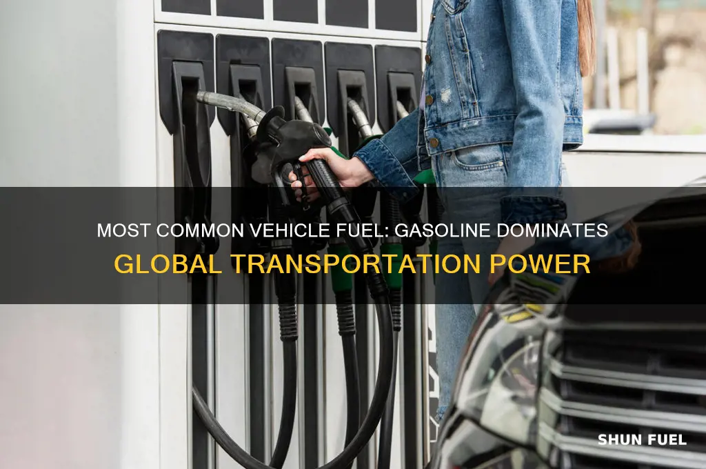what fuel is mostly used to power vehicles
