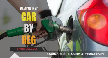 Car Fuel Type: Quick Check Using Registration Number