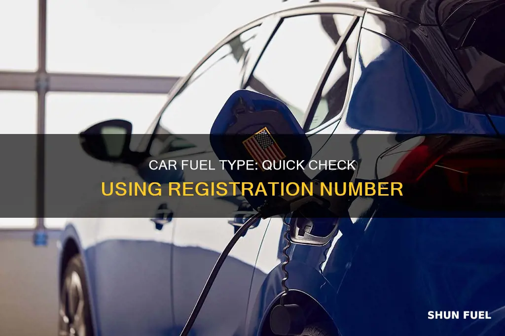what fuel is my car by reg