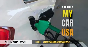 US Car Fuel: Unleaded or Diesel?