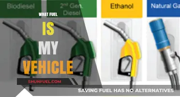 Discover the Right Fuel for Your Vehicle: A Comprehensive Guide