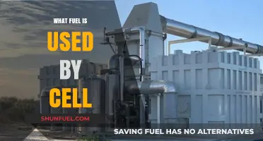 Cellular Energy Source: Unveiling the Fuel That Powers Our Cells
