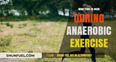 Anaerobic Exercise Fuel: Unlocking the Energy Source for Intense Workouts