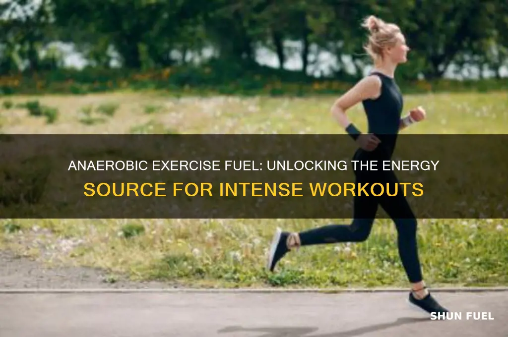 what fuel is used during anaerobic exercise