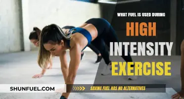 High-Intensity Workouts: Unlocking the Fuel Sources for Peak Performance