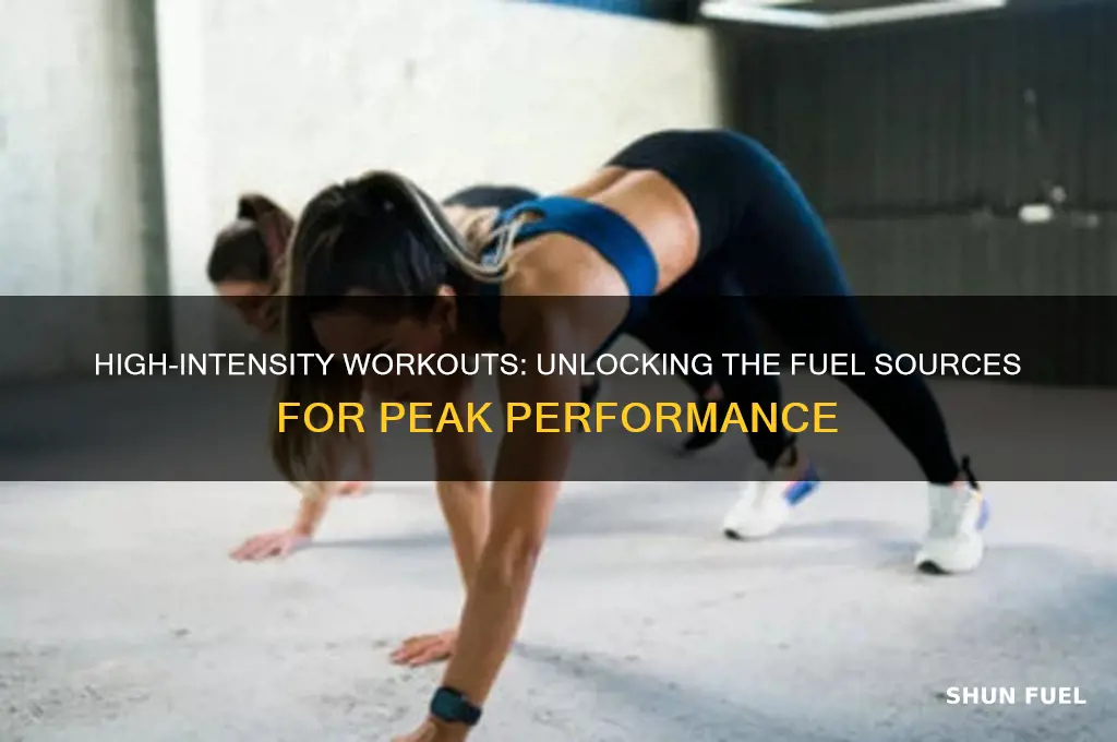 what fuel is used during high intensity exercise