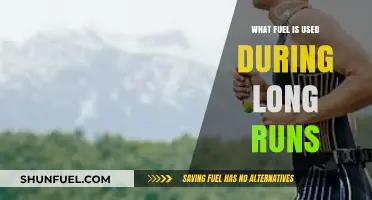 Understanding the Body's Fuel Sources for Endurance Running