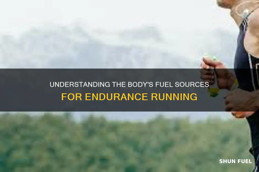 what fuel is used during long runs