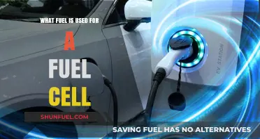 Understanding Fuel Cell Energy: Types of Fuel Used in Fuel Cells