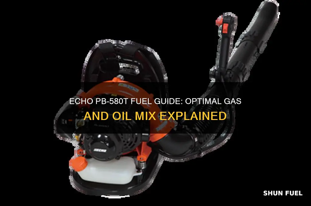 what fuel is used for echo pb-580t