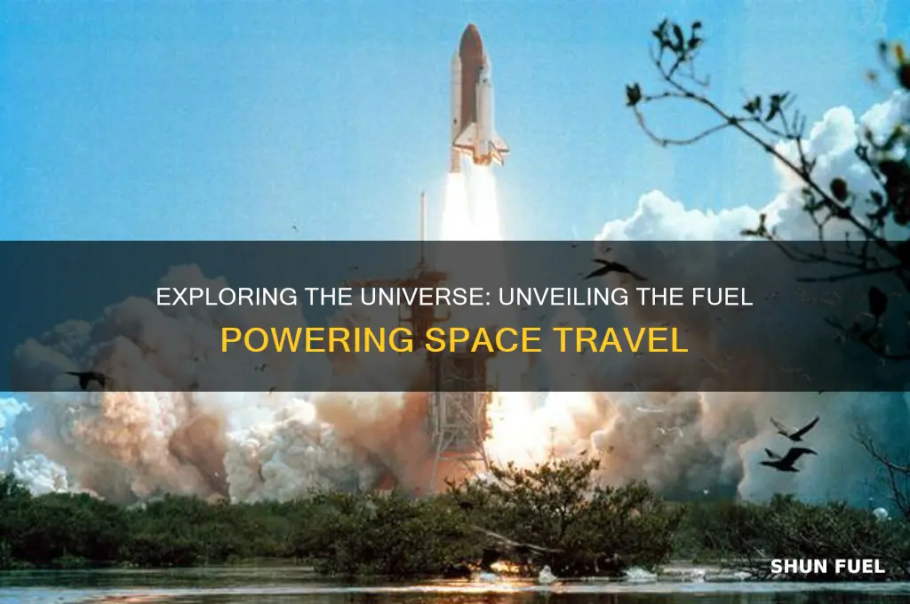 what fuel is used for space travel