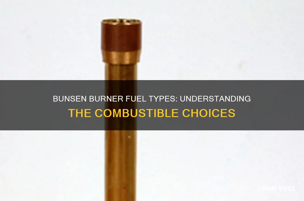 what fuel is used in a bunsen burner
