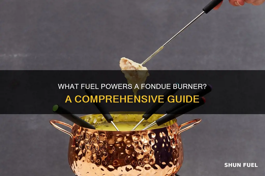 what fuel is used in a fondue burner