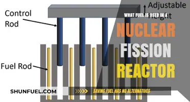 Understanding Nuclear Fission: The Fuel Powering Reactors Worldwide