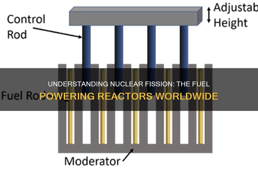 what fuel is used in a nuclear fission reactor
