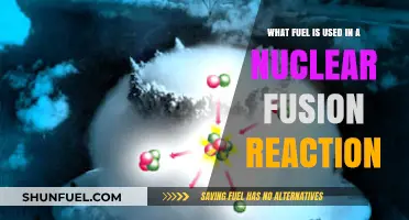 Unleashing Energy: The Fuel Behind Nuclear Fusion Reactions Explained