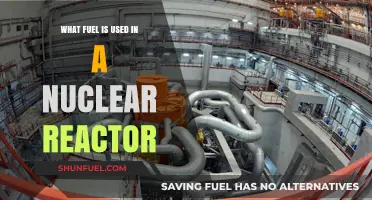 Understanding Nuclear Reactors: The Fuel That Powers Atomic Energy