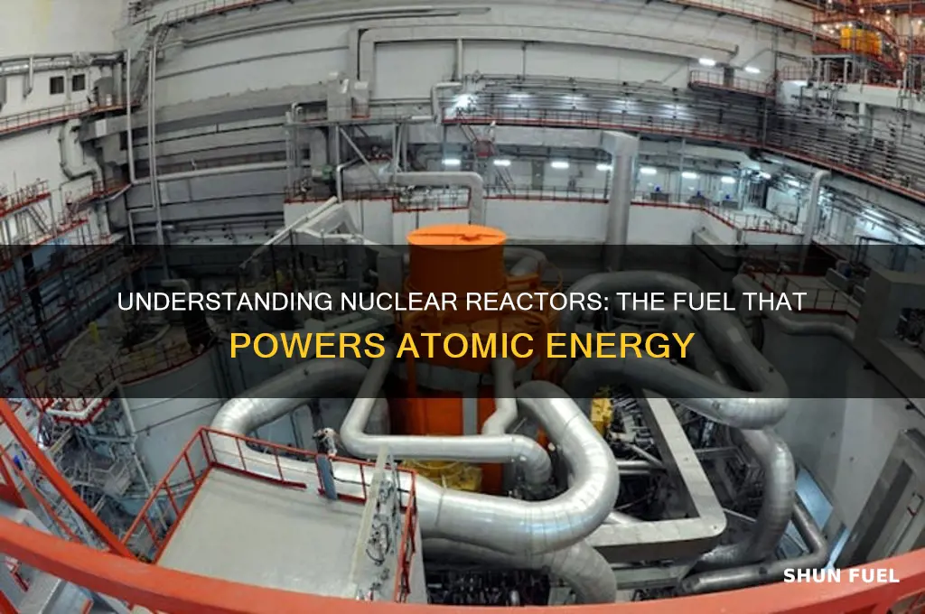 what fuel is used in a nuclear reactor