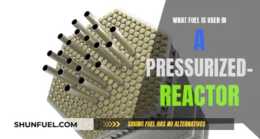 The Power of Pressurized Water Reactors: Fuel Choice