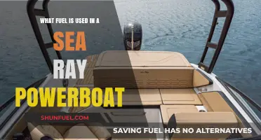 Sea Ray Powerboats: Understanding the Fuel Types They Use