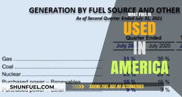 America's Fuel Sources: Gasoline, Diesel, and Renewable Energy Usage Explained