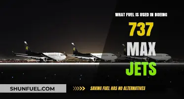 Boeing 737 MAX Jets: Unveiling the Fuel Powering Their Flights