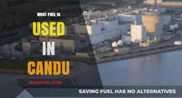 What Fuel Powers CANDU Reactors: Unveiling the Unique Energy Source