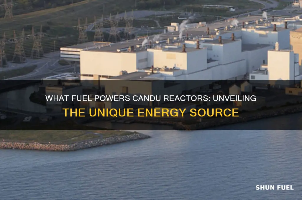what fuel is used in candu