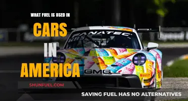 America's Car Fuel: Gasoline, Diesel, and Emerging Alternatives Explained