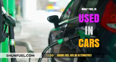 Exploring Car Fuel Types: Gasoline, Diesel, Electric, and Beyond