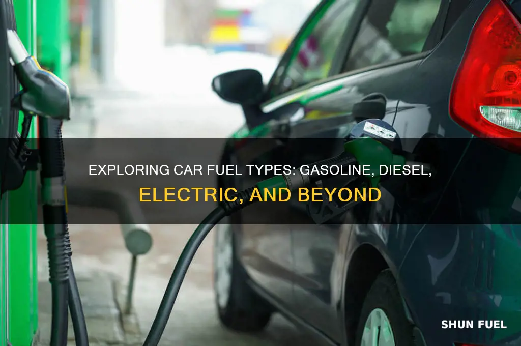 what fuel is used in cars