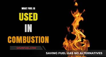 Understanding Combustion: Exploring the Types of Fuel Used in the Process