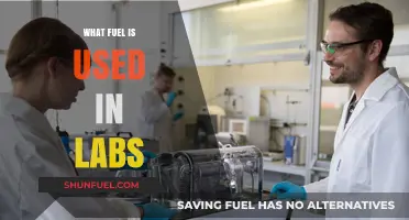 Exploring Common Fuels Utilized in Laboratory Settings and Applications