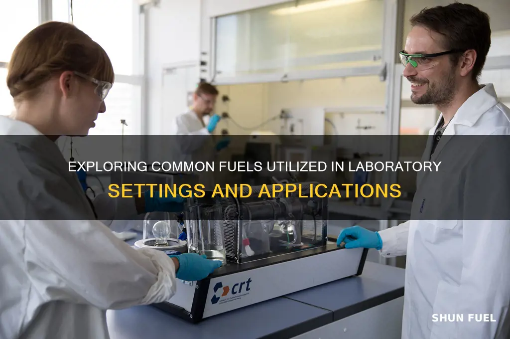 what fuel is used in labs