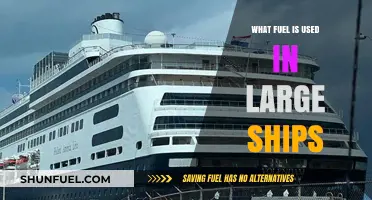 Exploring the Primary Fuels Powering Large Ships and Their Impact