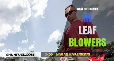 Exploring Leaf Blower Fuel Types: Gasoline, Electricity, or Battery Power?