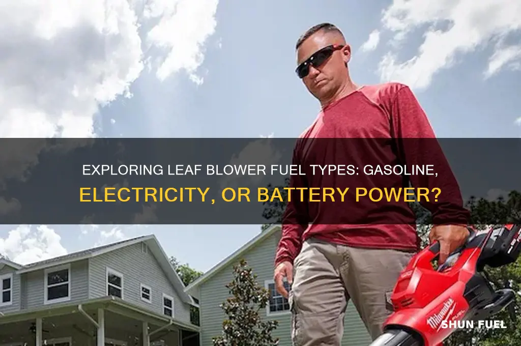 what fuel is used in leaf blowers