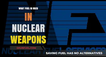 Nuclear Weapons Fuel: Understanding the Power Behind Atomic Destruction
