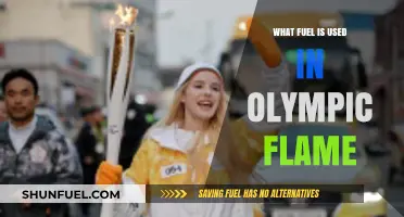 The Olympic Flame's Fuel: Unveiling the Eternal Torch's Energy Source