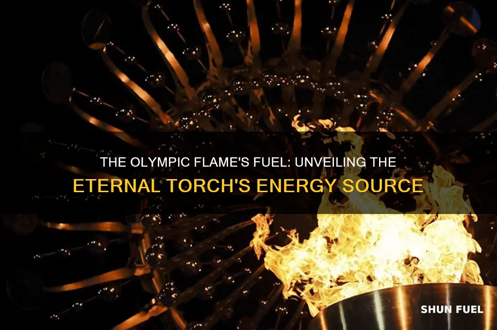 what fuel is used in olympic flame