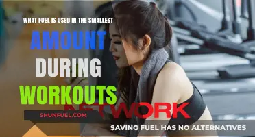 Understanding Minimal Fuel Usage During Short-Duration Workouts