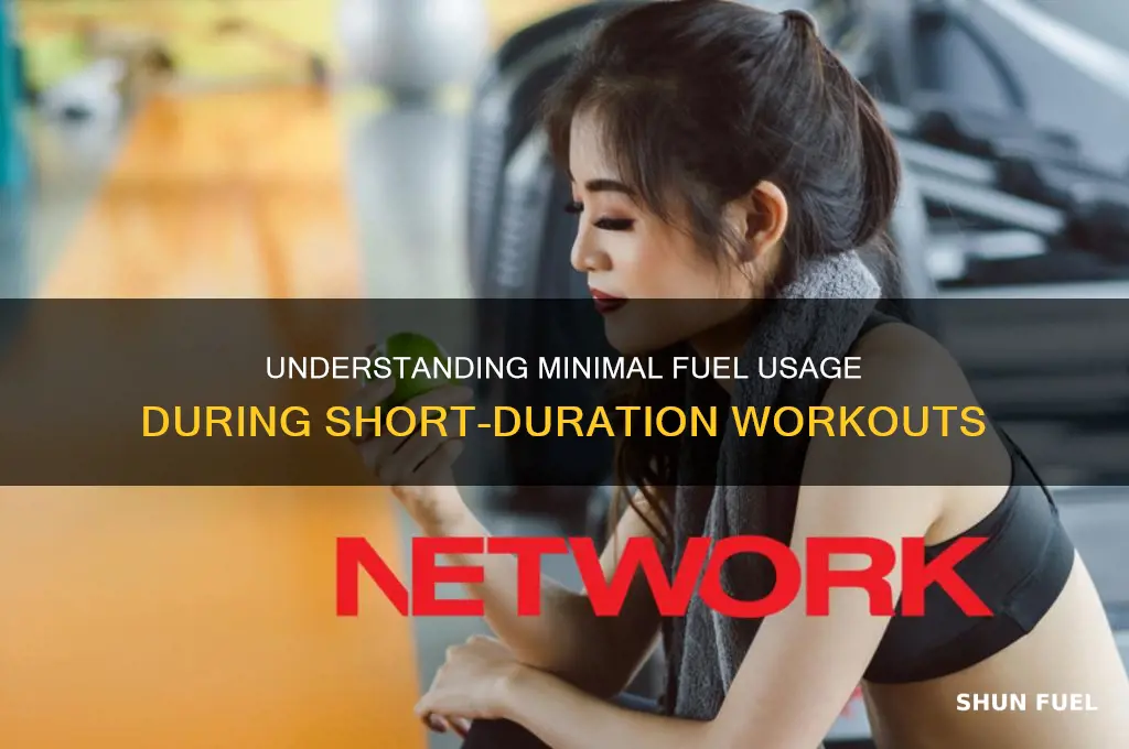 what fuel is used in the smallest amount during workouts