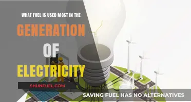 Most Used Fuel for Electricity Generation: A Comprehensive Overview